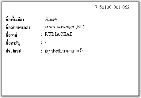 กล่องข้อความ: 7-50100-001-052 ชื่อพื้นเมือง : เข็มแสด ชื่อวิทยาศาสตร์ : Ixora javaniga (BI.). ชื่อวงศ์ : RUBIACEAE ชื่อสามัญ : - ประโยชน์ : ปลูกประดับสวนกลางแจ้ง